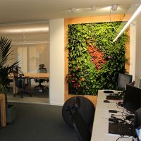 foto ufficio e parete verde TeamPeaks Srl, mobile view
