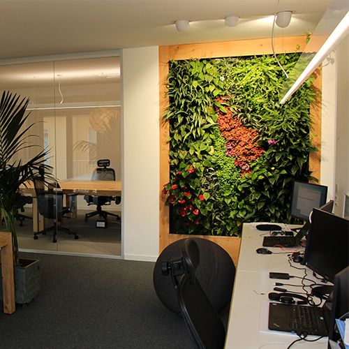 foto ufficio e parete verde TeamPeaks Srl