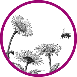 immagine ape in volo sui fiori